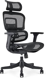 Waytex Draconis - Silla de Oficina ergonómica, Silla de Oficina de Malla Transpirable, apoyabrazos Ajustables 3D, reposacabezas Ajustable, Soporte Lumbar Ultra cómodo, Color Negro