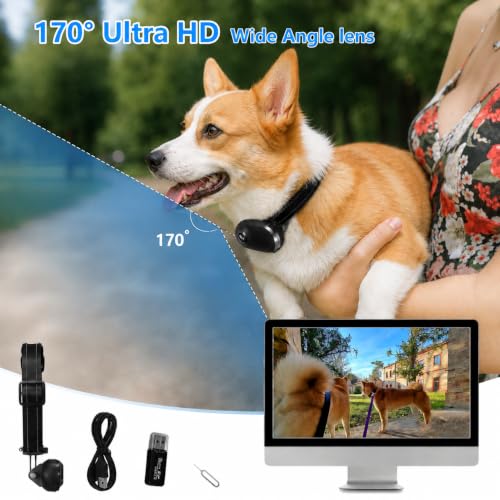 Image of HD 1080P Cat Camera Collar with Video Record Wireless Mini Sport cam,Small Action Cameras,Body Camera for Pet Supplies Stuff Outdoor /Inoor Birthday Gift No WiFi(Black)