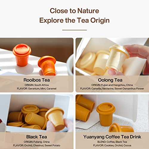 Saturnbird Express Tea, 4 Flavors, Premium Instant Tea Powder, Rooibos/Fuliang Black Tea/Oolong Tea/Yuanyang Coffee Tea Drink, Cold Brew Tea, Freeze-Drying Tech, Ice/Hot Water/Milk, No Additives, Variety Pack (4 Packs, 48 Count Total) #TOP2