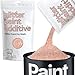Hemway (Rose Gold) Glitter Paint Additive Crystals 100g/3.5oz for Acrylic Latex Emulsion Paint - Interior Exterior Wall, Ceiling, Wood, Varnish, Dead flat, Matte, Gloss, Satin, Silk