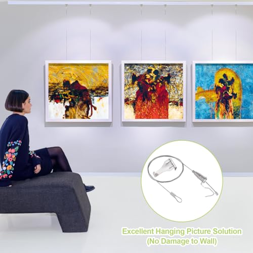 UFURMATE Bilder-Aufhängeset mit Haken, 10 Stück, verstellbarer Edelstahl-Aufhängerdraht, Edelstahlseil für Kunstbilder, Spiegelkörbe (0,5 m)