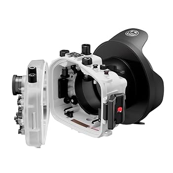 カーペンター シーフロッグ 70Z SeaFrog 70Z Carpenter Lures - Poppers & Stickbaits - Carpenter Lures - SEA FROG