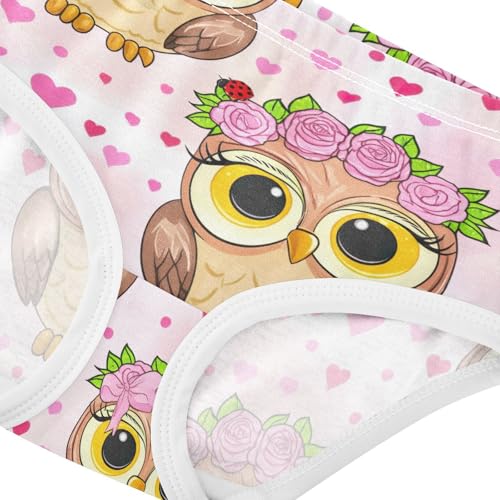Joisal Funny Toddler Underwear Floral 2t Cotton Little Girl Panties Cute Cartoon Owl Pink Briefs Girls Undies4