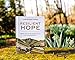 Resilient Hope: 100 Devotions for Building Endurance in an Unpredictable World