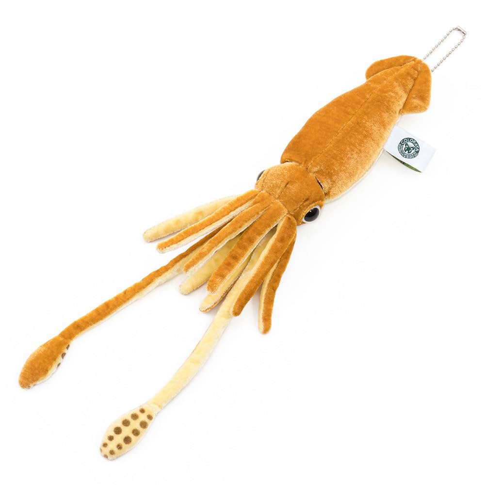 Amazon.co.jp: カロラータ ダイオウイカ ぬいぐるみ (Sサイズ/ボール