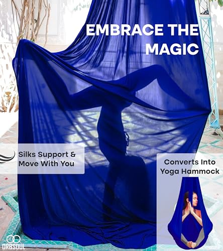 Aurora PRO Aerial Silks + Yoga Hammock (Full Rigging Hardware) Safety CE Certified - 100% Premium Nylon in 40 Denier