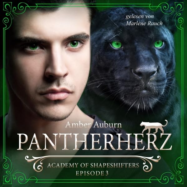 Cover art for Pantherherz