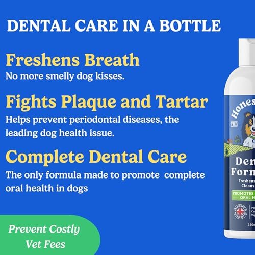 Dog Dental Formula for Water - Dog Breath Freshener in Water - Vet Formulated Dog Mouthwash - Pet Plaque Remover - Easy Daily Use Formula - Dog Teeth Cleaning Products by Honest Dog Co