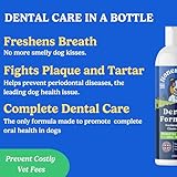 Dog Dental Formula for Water - Dog Breath Freshener in Water - Vet Formulated Dog Mouthwash - Pet Plaque Remover - Easy Daily Use Formula - Dog Teeth Cleaning Products by Honest Dog Co - Image 2