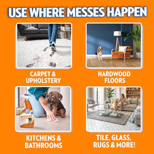 Image of OUT! PetCare Complete Oxy Stain Remover, Dog Stain Carpet Cleaner, 32oz | Upholstery Cleaner, Odor Eliminator, Stain Remover Spray, Pet Carpet Cleaner, Dog Urine Remover, Spot Cleaner, Floor Cleaner