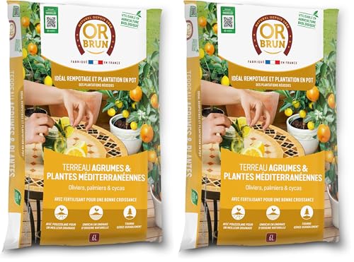 Or Brun Terreau Agrumes & Plantes Méditerranéennes - Oliviers Palmiers & Cycas - Utilisable en Agriculture Biologique OBRTAGR6U (Lot de 2)