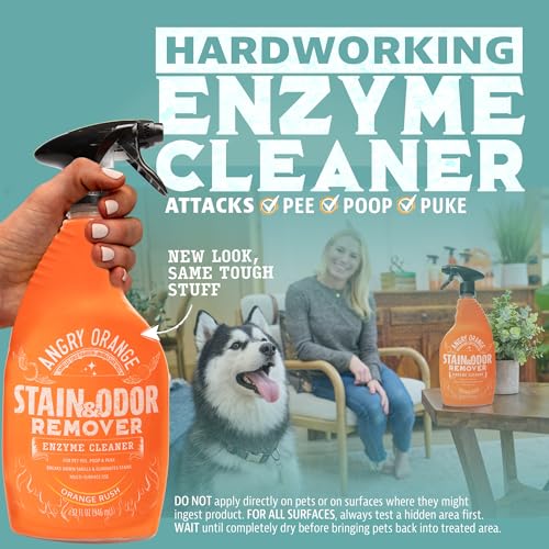 Image of ANGRY ORANGE Stain & Odor Remover - 32oz Pet Urine Enzyme Cleaner - Enzymatic Dog & Cat Pee Destroyer and Odor Eliminator - NEW Orange Rush Scent Cleaning Solution for Home