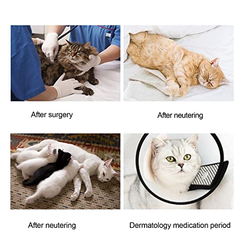VAHIGCY Macacão de recuperação de gatos, macacão de gatinho, traje de recuperação cirúrgica para gat