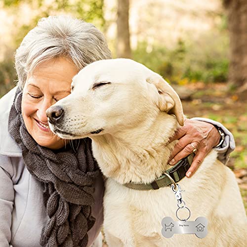 Molain 4 Stück Erkennungsmarken-Clips mit 10 Stück Hundemarken-Ringen, strapazierfähige Hundemarken mit Ringen für Hunde und Katzen, Halsband-Geschirre.