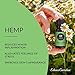 Edens Garden Hemp Essential Oil, 100% Pure Therapeutic Grade (Undiluted Natural/Homeopathic Aromatherapy Scented Essential Oil Singles) 10 ml