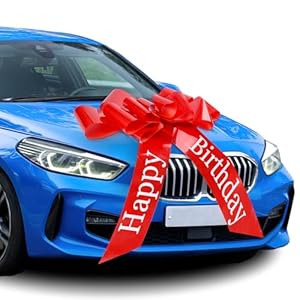 Moosono Große Rote Autoschleife LAHUA-1