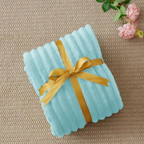 Image of BEDELITE Ribbed Twin Blanket for Couch & Bed, Cloud Blue, 60 inchx80 inch | Ultra-Soft Plush Fleece, Cozy, Warm Yet Lightweight, Ribbed Texture, Home Decor, Machine Washable, Giftable, All-Season Use