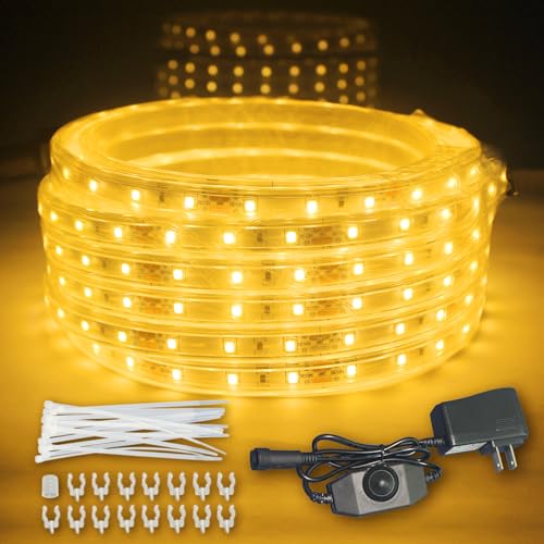 RYGDENG 32.8FT Waterproof LED Rope Lights Warm White, Dimmable Outdoor Led Strip Lights Waterproof, 12V Flat Rope Lights, Flexible Rope Lighting for Indoor Bedroom Deck Patio Christmas Camping