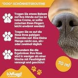 Wellwoof 100% Natürliches Nasenbalsam für Hunde - Repariert und Schützt Rissige Hundenase mit - Vegane & beim Ablecken Nicht Giftige Nasenpflege Hund - Made in Italy