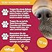 Wellwoof 100% Natürliches Nasenbalsam für Hunde - Repariert und Schützt Rissige Hundenase mit - Vegane & beim Ablecken Nicht Giftige Nasenpflege Hund - Made in Italy