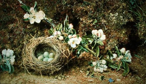 Tableaux sur toile nid d'oiseau William Henry Hunt : rompez la monotonie de votre grand mur vide