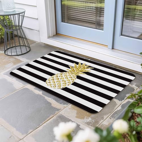 Pineapple Door Mat,Non-Slip Welcome Mat Absorbent Front Door with Rubber,Modern Abstract Fruits Black White Stripe Doormat Outdoor Indoor Entrance,Floor Rug Decor for Entryway Patio Kitchen,18x30 in