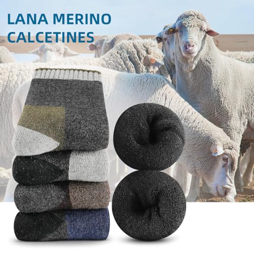 Catálogo para Comprar On-line Lana - los preferidos. 5 Imagen adicional