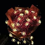 Battery Operated Cute Honeybee Fairy String Lights Decorations, 10 ft 30 LED Bee Decorative Lights for Bedoom Flower Tree Dorm When Wedding Birthday Party Indoor Outdoor Hanging Lighting Decoration