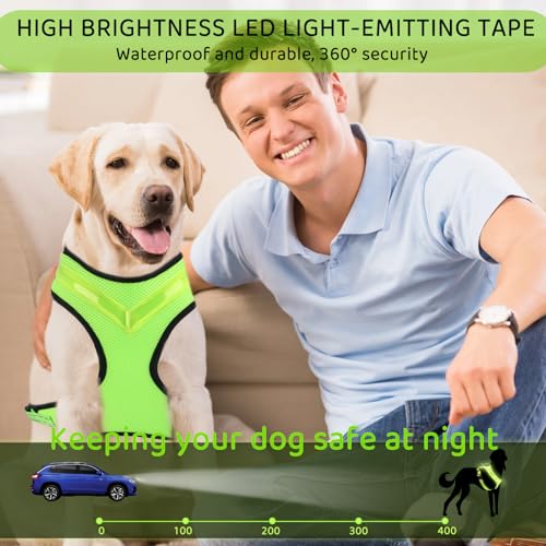 Fancysky Hundegeschirr Leuchtend Aufladbar Wiederaufladbarkeit, LED Leuchtgeschirr für Hunde, Atmungsaktive Hundegeschirre für Kleine und mittlere Hunde (M)