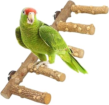 Amazon | Ailunate 鳥 止まり木 スタンド 天然木 インコ おもちゃ 台