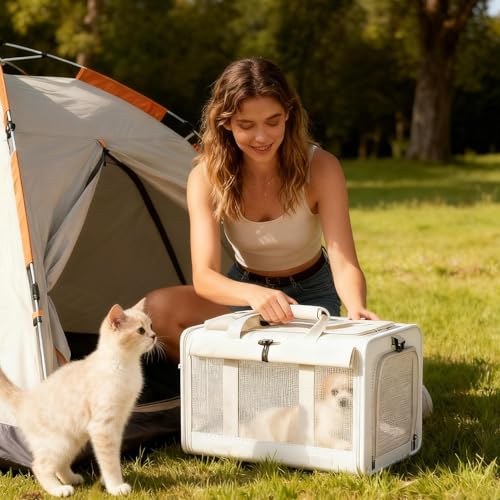 Sac de transport pour chat pliable qui résiste aux griffures pour vétérinaire