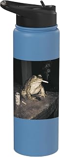 Cool Frog Smoking Cigarette Beer Can Vintage Photo Stainless Steel Insulated Water Bottle