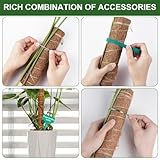 Vicloon B0CJF978RN lato 4