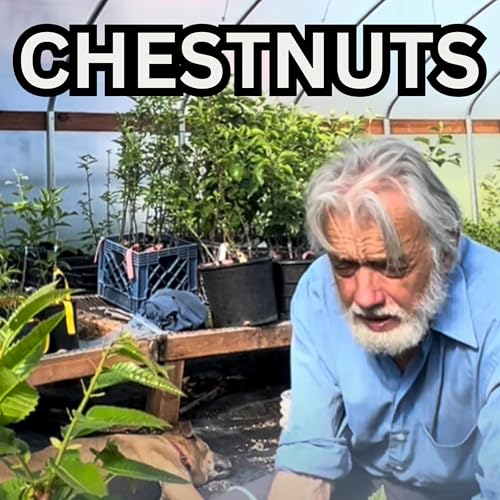 Growing Chestnuts with Michael Dolan of Burnt Ridge Nursery Podcast Por  arte de portada