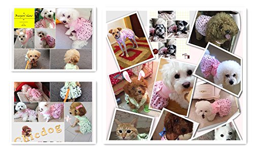Hdwk&Hped Dog Dress With Leash Ring, Princess Multi-Layer Pleated Skirt Pentagram Bow Pet Dress For Small Dog Puppy Cat Pink #3 #TOP6