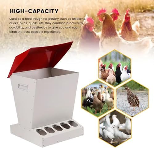 Comedero automático para pollos, diseño de metal resistente a la intemperie, capacidad de 25 libras, tapa a prueba de derrames, adecuado para aves de corral, incluyendo pollos, patos, gansos, pavos y