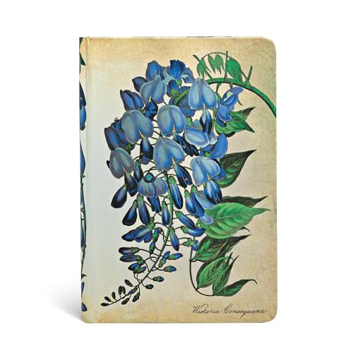 Carnet Paperblanks ligné Mini Glycine en Fleurs format 95x140 mm