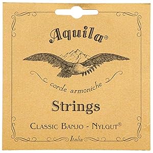 Aquila Medium 5B New nylgut Banjo 5-String Set (DBGDG-Tuning)