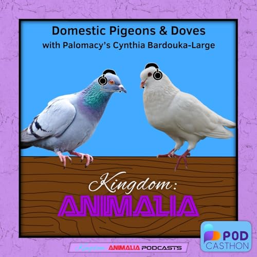 Domestic Pigeons & Doves // Palomacy&rsquo;s Cynthia Bardouka-Large (Podcasthon 2026)