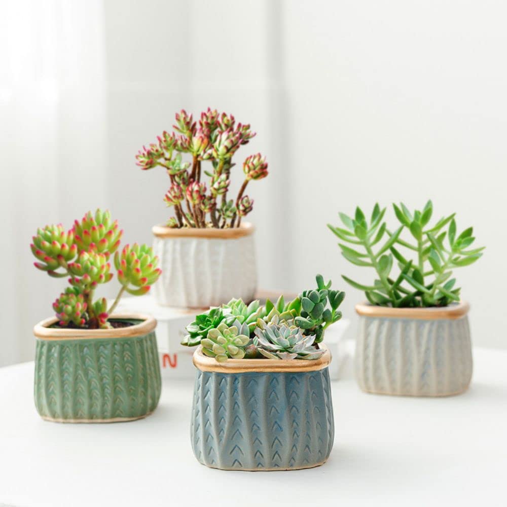 Amazon.co.jp: BAGGEN 植木鉢 4個セット 四角形 プランター 多肉 観葉