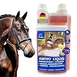 Amino Liquid I Aminosäuren Vitamin B komplex I Zusatzfutter Vitamin B12 I Zink Pferd I Muskelaufbau Pferd Stärkung Muskulatur I Regeneration Muskeln aufbauen alternativ zu Pulver für Pferde 1L