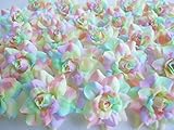 ICRAFY (24) Silk Rainbow Pastel Tones Roses Flower Head - 1.75' - Artificial Flowers Heads Fabric Floral Supplies Wholesale Lot for Wedding Flowers Accessories Make Bridal Hair Clips Headbands Dress