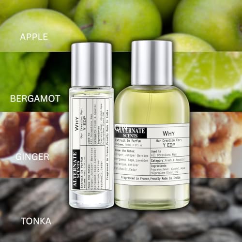 Image of Alternate Scents WHY 100ml Perfume for Men | Fresh Aromatic Fougere Blend | 30% Oil Concentration | Long Lasting, Smooth & Masculine | Made in India