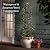 Evergreen Metal Garden Obelisk Trellis for Climbing Plants Outdoor, Indoor Plant Trellis for Potted Plants, Floral Pattern Arch Trellis (Black, 7 ft. Round, Set of 2)