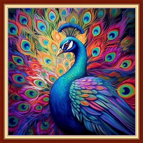 Image of Funxvoot Stamped Cross Stitch Kits Beginners Full Range of Embroidery Kits for Adults 11CT Embroidery Patterns Needlepoint Kits Printed Cross Stitch Kits - (Colorful Peacock 18x18 inchs)
