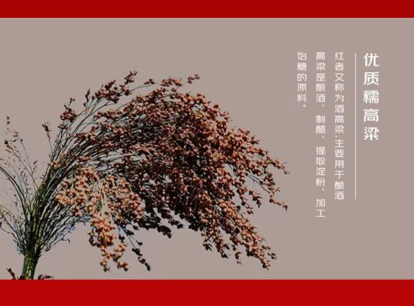 Amazon.co.jp: 15年貴州茅台酒 アルコール53度500ml 2024年 箱付