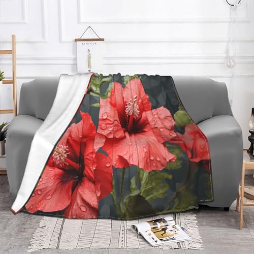 Couverture en peluche légère pour des soirées cocooning sur le canapé - 3