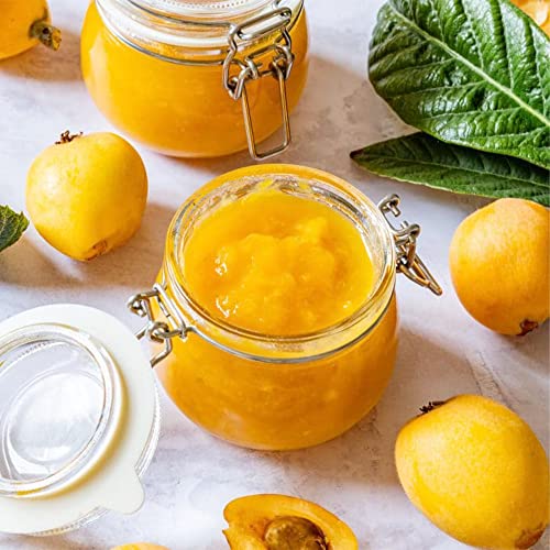 Qauzuy Garden 10 Loquat Tree Seeds, Japanese Plum, Medlar, Misbelief, Pipa - Asian Tasty Sweet Juicy Fruit - Heirloom Organic Fruit Seeds - Easy Grow & Harvest #TOP2