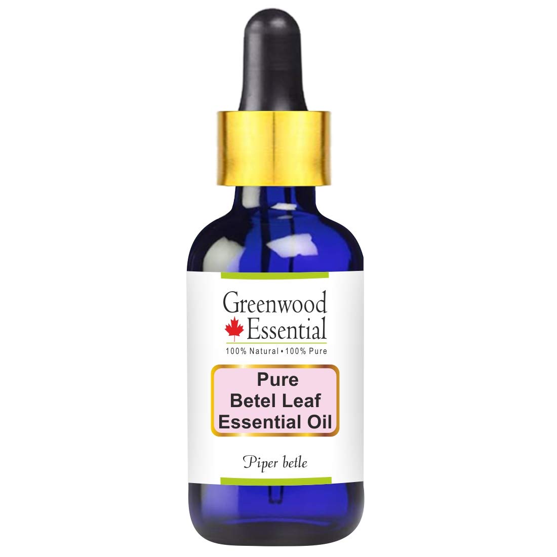 Greenwood Essential Pure Betel Leaf Essential Oil, Piper Betle, 5 ml