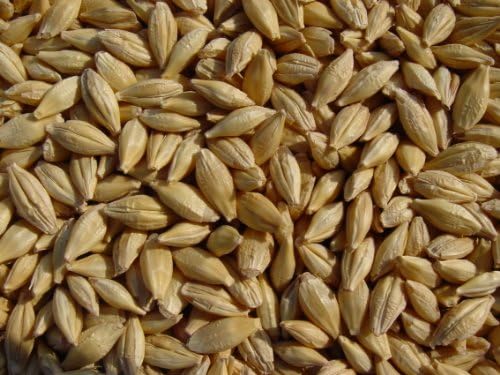 Joseph's Grainery Unhulled Barley 18 Lbs (Hull Intact), Whole Grain Barley, Non-GMO, Kosher Certified, Grown in the USA